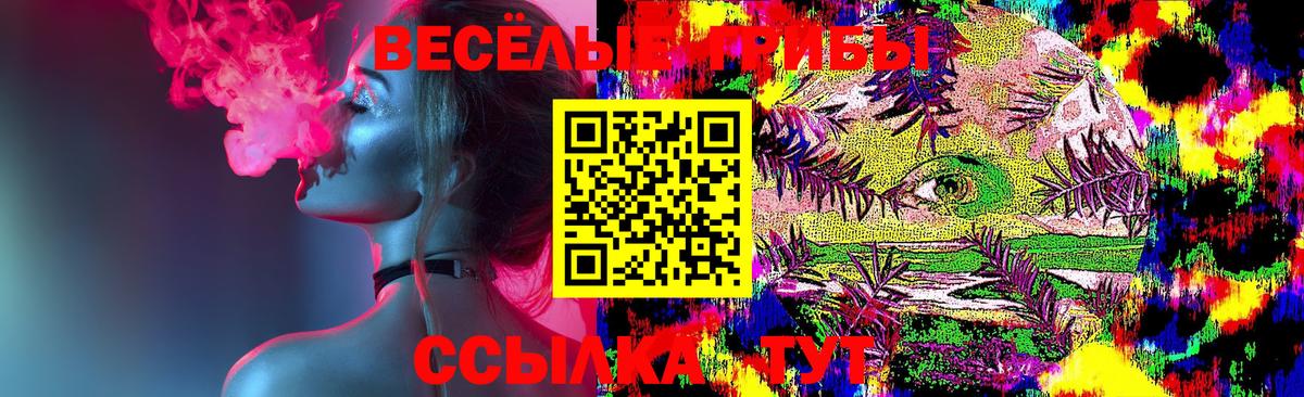 Псилоцибиновые грибы MAGIC MUSHROOMS Богородск