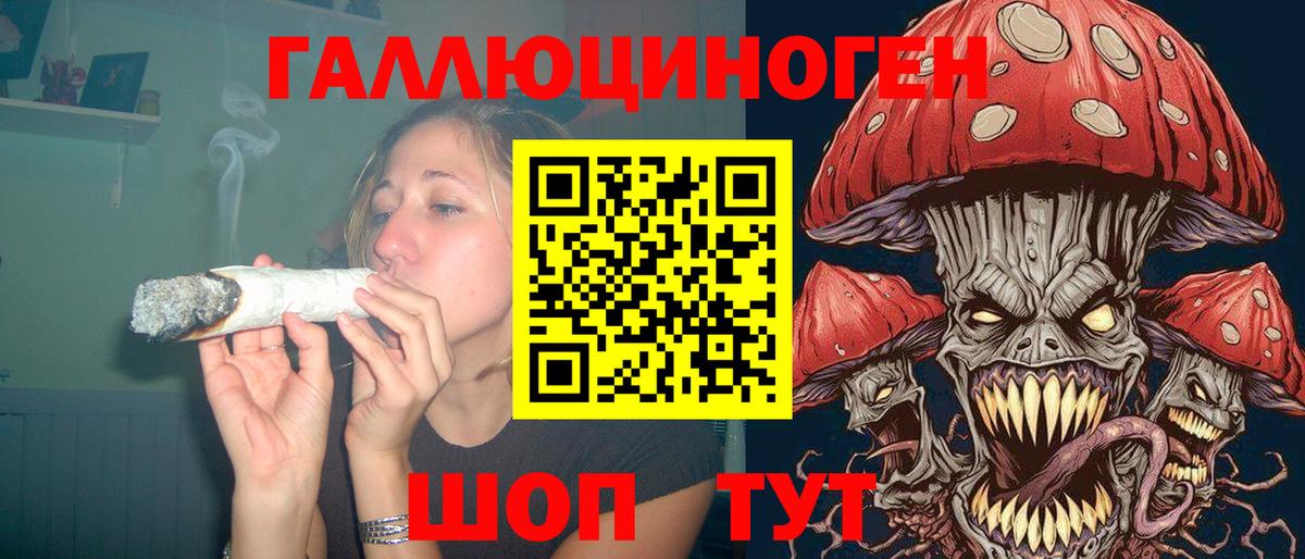 Богородск  Галлюциногенные грибы Cubensis  Вход с VPN  Псилоцибиновые грибы прущие грибы 